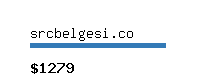 srcbelgesi.co Website value calculator