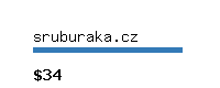 sruburaka.cz Website value calculator