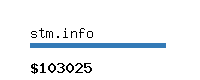 stm.info Website value calculator