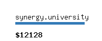 synergy.university Website value calculator