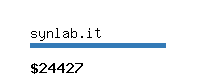 synlab.it Website value calculator