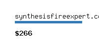 synthesisfireexpert.com Website value calculator