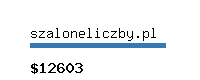 szaloneliczby.pl Website value calculator