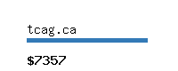 tcag.ca Website value calculator