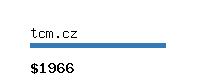 tcm.cz Website value calculator