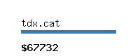 tdx.cat Website value calculator