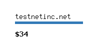 testnetinc.net Website value calculator