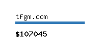 tfgm.com Website value calculator