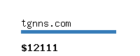 tgnns.com Website value calculator