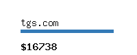 tgs.com Website value calculator