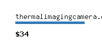 thermalimagingcamera.org Website value calculator