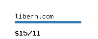 tibern.com Website value calculator