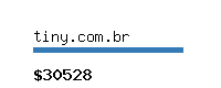 tiny.com.br Website value calculator