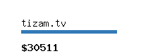 tizam.tv Website value calculator