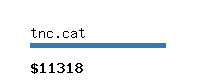 tnc.cat Website value calculator