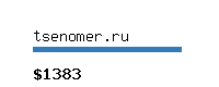tsenomer.ru Website value calculator