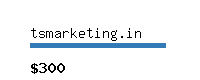 tsmarketing.in Website value calculator