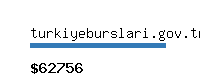 turkiyeburslari.gov.tr Website value calculator