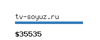 tv-soyuz.ru Website value calculator