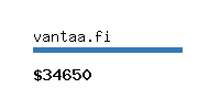 vantaa.fi Website value calculator