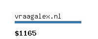 vraagalex.nl Website value calculator