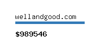 wellandgood.com Website value calculator