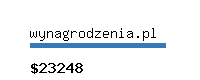 wynagrodzenia.pl Website value calculator