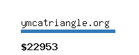 ymcatriangle.org Website value calculator