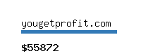 yougetprofit.com Website value calculator