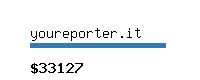 youreporter.it Website value calculator
