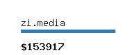 zi.media Website value calculator