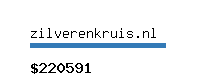 zilverenkruis.nl Website value calculator