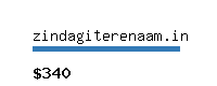 zindagiterenaam.in Website value calculator
